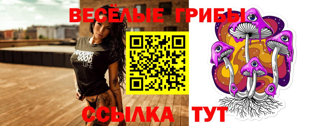 Псилоцибиновые грибы мицелий  Вход с VPN  где купить   Сланцы  Псилоцибиновые грибы мухоморы 